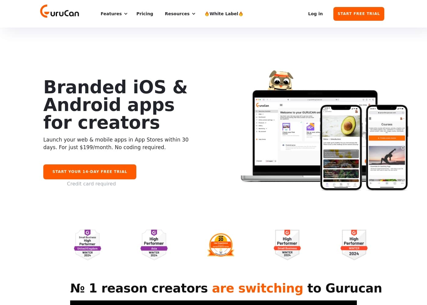 Gurucan homepage screenshot