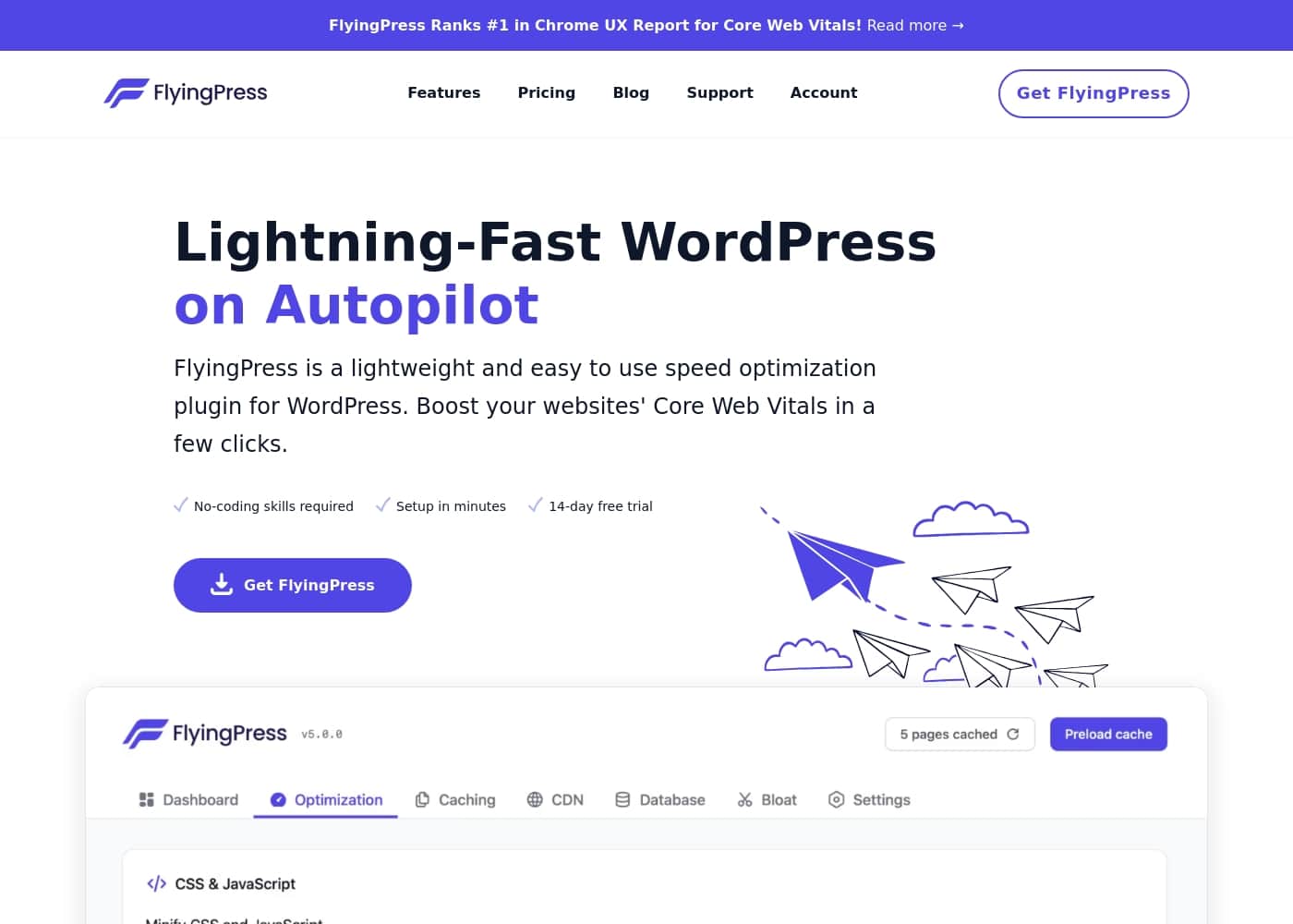 FlyingPress homepage screenshot